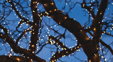 String Lights STARLIGHT to Decorate Indoor and Outdoor
